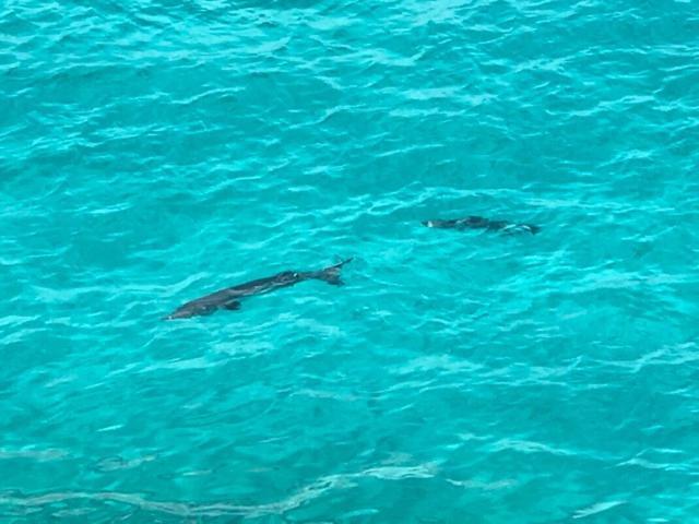 Sommerville Resorts Negril Bagian luar foto